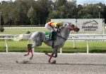 Lavor vence a 1ª em Maroñas
