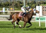 Brasileira Macadamia corre G3 em Santa Anita no domingo (30)