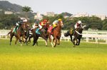 Prova Especial no feriado de 1º de maio é destaque na Gávea