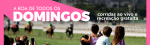 A boa de domingo: corridas e recreação no hipódromo!