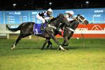 GP Hipódromo da Gávea (G3): Love Touch aprova retorno ao quilômetro e vai forte ao Suckow 2023
