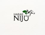 Hoje, às 20h, Leilão do Haras Nijú