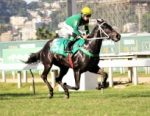 Galeria de Fotos – Confira os vencedores deste DOMINGO (21/05) no JCB