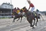 Obernai, do Stud Sion, vence o Classico Presidente João Tobias de Aguiar (L.) em Cidade Jardim