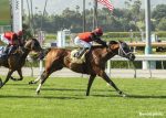 Planetário reaparece com ótimo segundo numa prova de G3 em Santa Anita