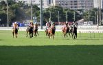Tv Turfe transmite entre sexta (05) e terça (09): Cidade Jardim, Corridas Americanas, Cristal e Gávea