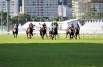 Dezoito páreos entre segunda (29) e terça-feira (30) na Gávea