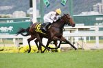 Melhor potranca do país, Kenlova esbanja classicismo no GP Roberto e Nelson Seabra (G1) – HARAS ANDERSON
