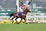 Um show de Orla de Ipanema no GP Francisco Villela de P. Machado (G2)