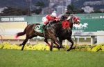 No GP Major Suckow (G1) – HARAS NIJÚ, a magia de Mandrake