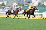 The Last Emperor surpreende no GP Jockey Club Brasileiro (G1) – HARAS SANTA RITA DA SERRA