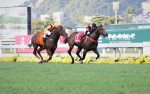 De ponta a ponta, Ushuaia Ibiza conquista o GP Presidente da República – STUD H&R (G1)