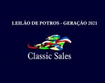 Leilões de produtos da Geração 2021 agitam o mercado do PSI na semana máxima do turfe nacional