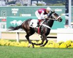 Galeria de Fotos – Confira os vencedores deste DOMINGO (18/06) no JCB