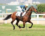 Galeria de Fotos – Confira os vencedores deste DOMINGO (25/06) no JCB