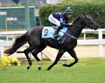 Galeria de Fotos – Confira os vencedores deste SÁBADO (17/06) no JCB