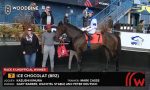 Belmont Park: Ice Chocolat atua em G1
