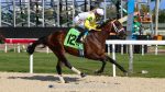 Novo Sol corre G3 em Woodbine