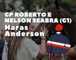 GP Roberto e Nelson Seabra (G1) – HARAS ANDERSON – Com ou sem High Wire?