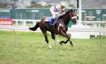 Domínio do invicto Ungai Hai na P.E. Super Power