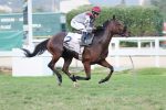 Batismo nobre de Rennes no GP Onze de Julho (G2)