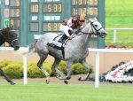Brasileira Justify My Love vence handicap de US$ 100 mil em Indianapolis
