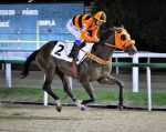 Galeria de Fotos – Confira os vencedores deste DOMINGO (02/07) no JCB