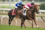 Filo di Arianna corre Stakes, domingo (04), em Woodbine