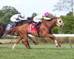 Planetário finaliza em quinto no United Nations Stakes (G1)