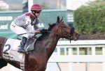 Pedigree da semana: Rennes