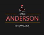 Nesta quinta (17), Leilão Haras Anderson e convidados
