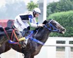 Galeria de Fotos – Confira os vencedores deste DOMINGO (13/08) no JCB