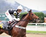 Galeria de Fotos – Confira os vencedores deste DOMINGO (20/08) no JCB
