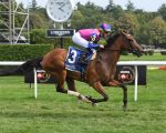Saratoga: War Like Goddess tenta o tricampeonato do Glenn Falls Stakes (G2), nesta quinta-feira (03)