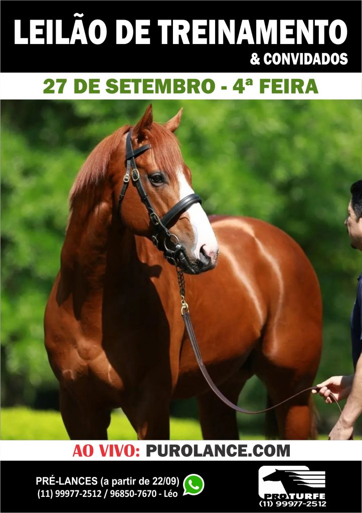 O atributo alt desta imagem está vazio. O nome do arquivo é 1892023233926_27.09-722x1024.jpg
