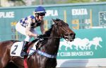 Oxford Girl domina com sobras a Prova Especial Courageuse