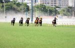Geração 2020 e arenáticos nas melhores disputas da Gávea