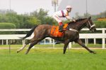 Pedigrees da semana: Meeting do Linneo