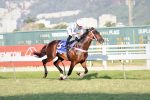 Craque é craque! London Moon reaparece com espetacular triunfo no GP Gervásio Seabra (G2)