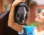 Ocorrências veterinárias dos dias 27, 28 e 29 de JULHO de 2025