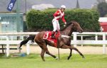 Orla de Ipanema, a força do GP Roberto e Nelson Seabra – Araras Blood & Power (G1)