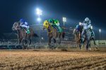 Atropelada espetacular de Senor Buscador para vencer a Saudi Cup (G1)