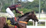 Em ótima marca, St Vicent confirma favoritismo no Clássico Jockey Club de São Paulo (L.)