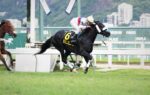Uni Te fecha o domingo perfeito do Haras Doce Vale com triunfo no GP Zélia G. P. de Castro – Araras Blood & Power (G1)