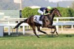 Aconteceu – GP Adayr Eyras de Araújo (G3)