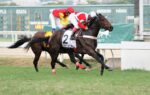 Aconteceu – GP Conde de Herzberg (G2)
