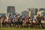 Dois G1 e mais seis páreos abrem o Festival do GP São Paulo 2024