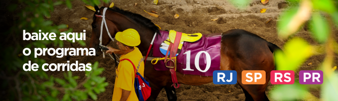 Programas de corrida RJ SP RS PR