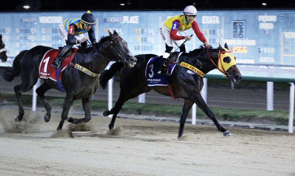Quadro de Honra – GP Delegações Turfísticas (G3)