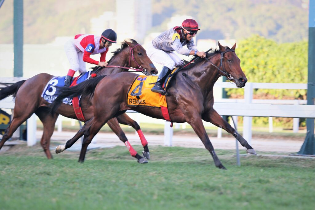 Quadro de Honra – GP Roberto e Nelson Seabra (G1)